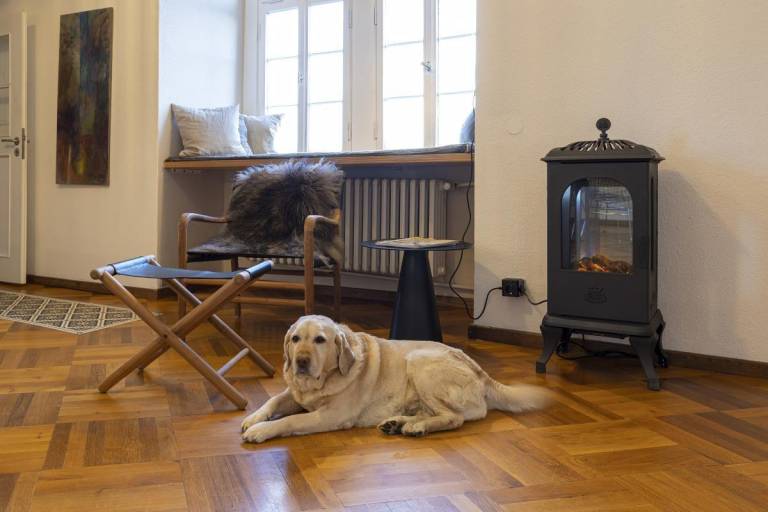 Children-friendly house | Pet-friendly — photo 3