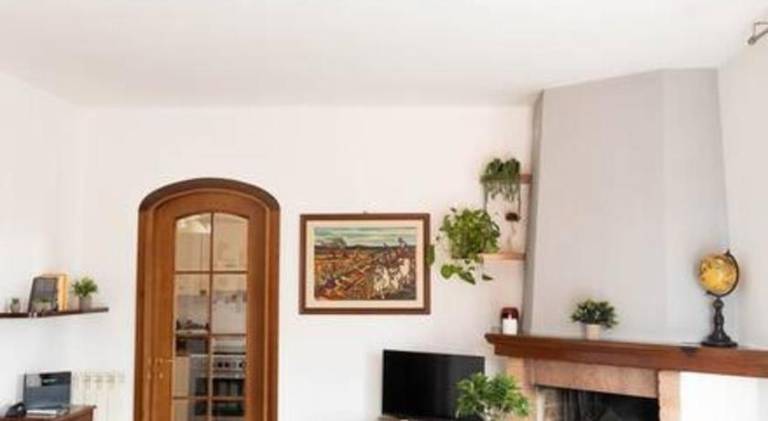 Beautiful rental apartment | Dogs allowed — photo 3