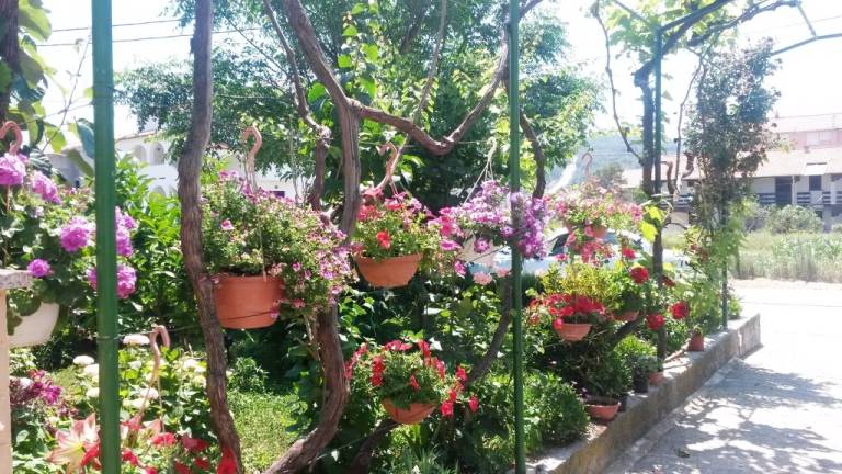 Apartament Lopar, Croatia