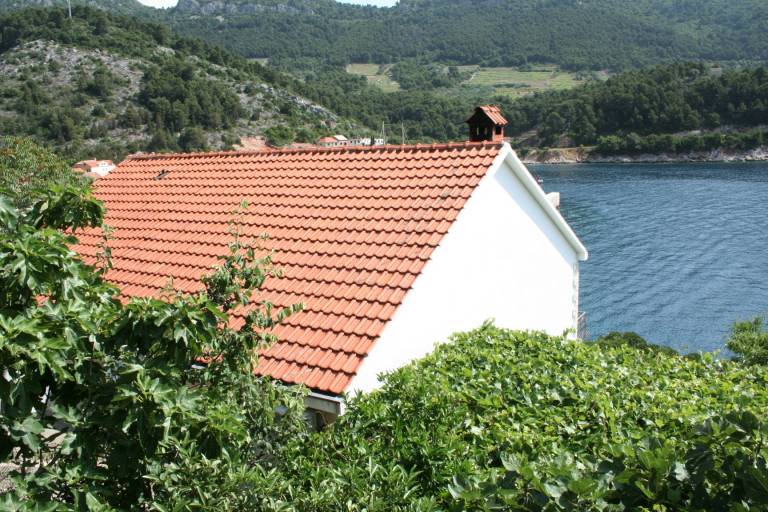 foto21