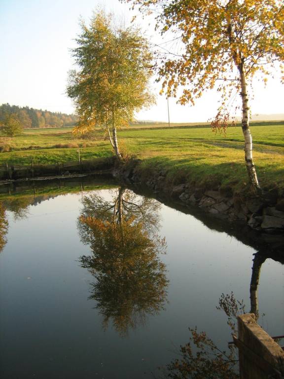 foto9