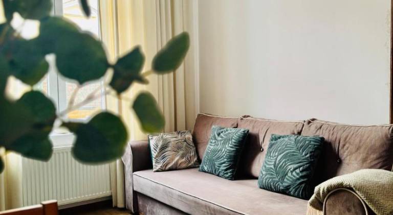 Nice rental apartment | Pets are welcome in Olsztyn