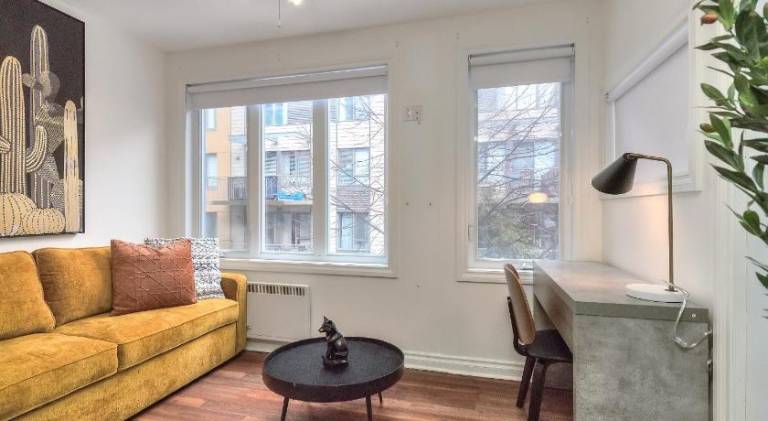 Lovely apartment | Near Notre-Dame Basilica | Pets allowed in Montréal, QC
