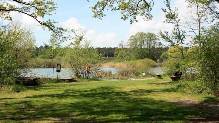 foto15