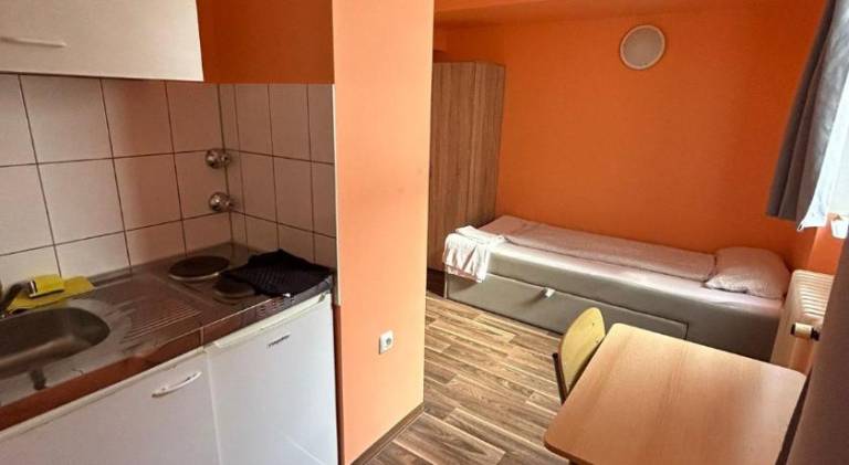 Pleasant rental apartment | Close to Munich Frauenkirche | Pets are welcome in Munich