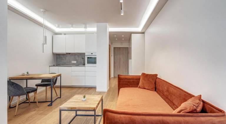 Rental apartment with 1 room for 2 persons in Vilnius
