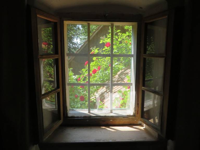 foto17
