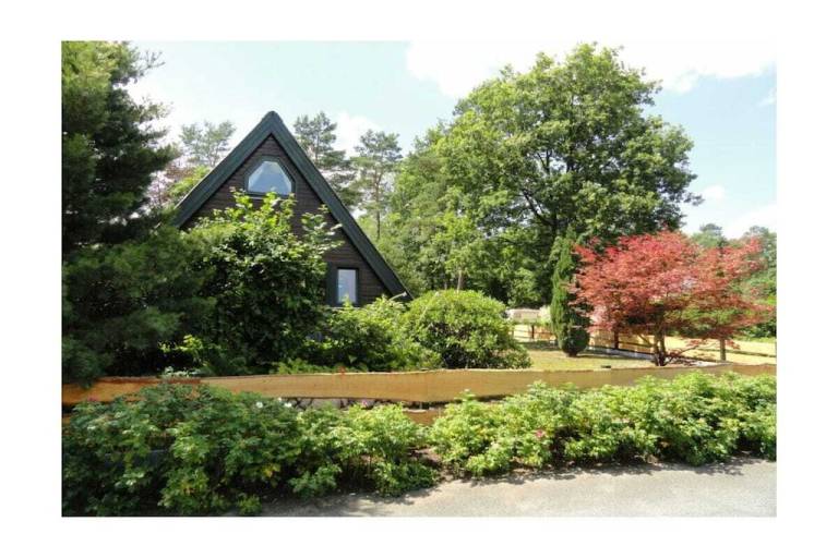 Charming house with yard, patio & grill | Pets are welcome in Lueneburg