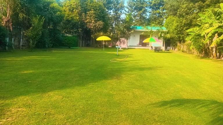 foto10