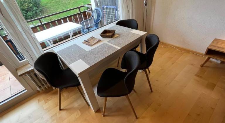 Haus am Sonnenberg, Todtnauberg, Ferienwohnung 204, direkt am Skilift-Skipiste, Nahe Feldberg — photo 4