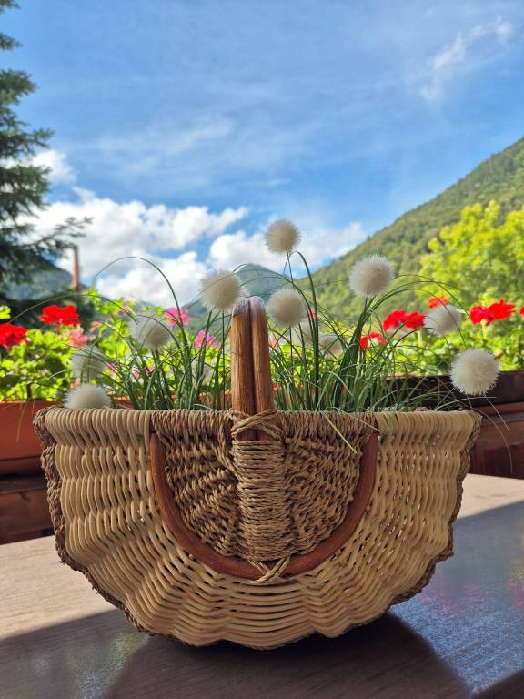 Appartement Oberau