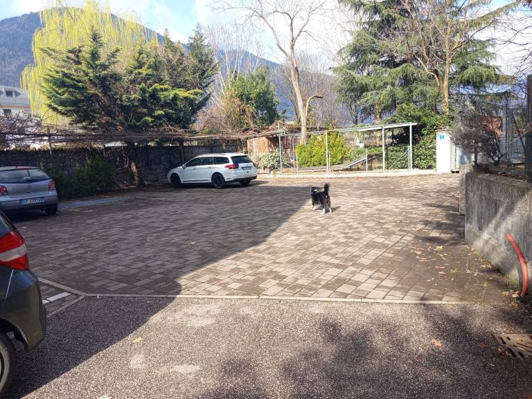 Holiday Apartment 'Annabelle' with Shared Pool, Shared Garden and Wi-Fi — photo 4