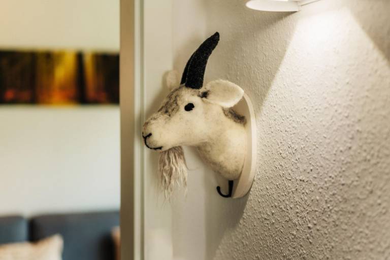 Erlebe unvergessliche Urlaubsmomente in der gemütlichen Ferienwohnung Harzbock! — photo 3