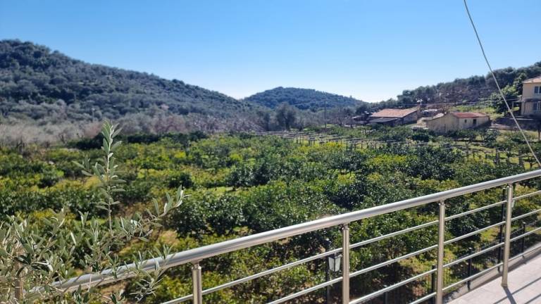 Ferienwohnung  Ulcinj