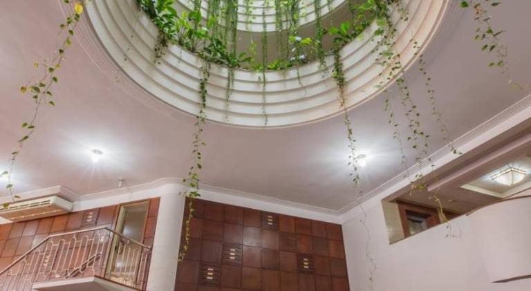 Copas Executive Hotel — photo 5