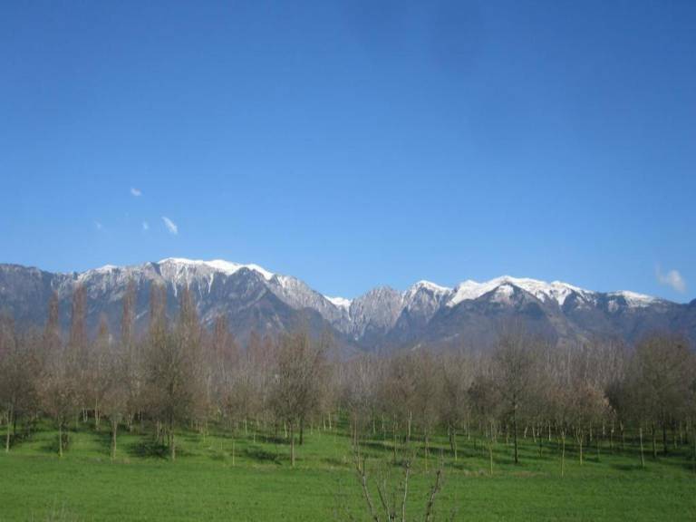 foto30