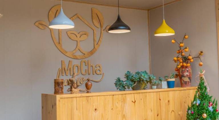 MoCha House — photo 4