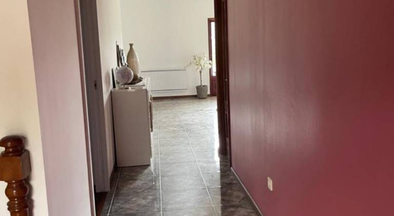 foto19