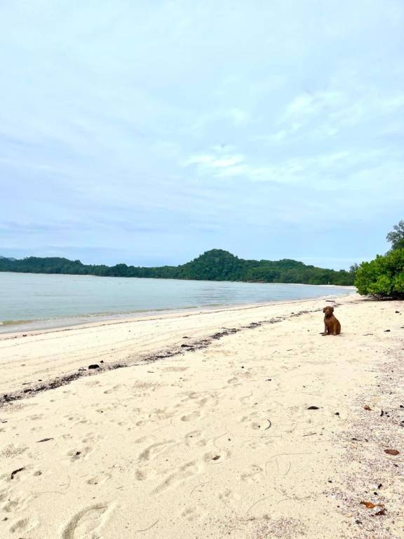 BMB Boun Marvin Bungalows — photo 4