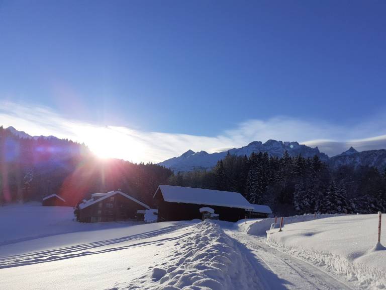 Ferienwohnung Hasliberg