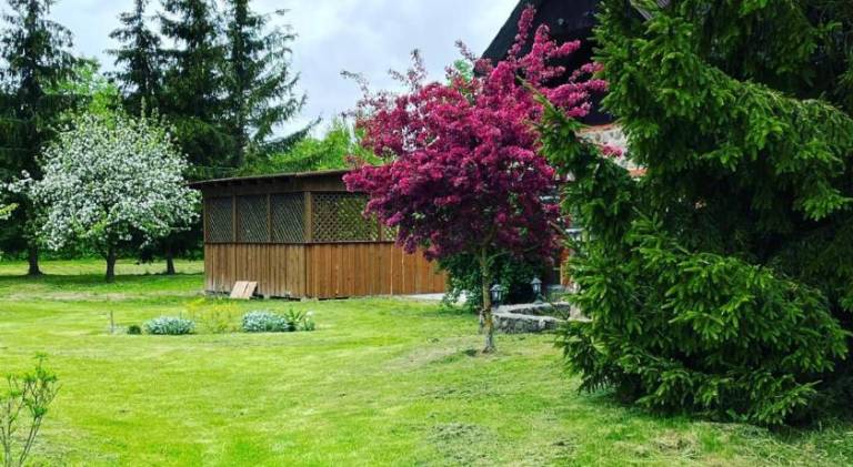 foto29