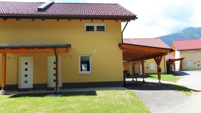 Ferienhaus Dellach