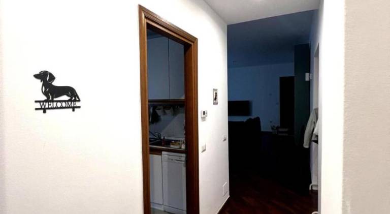 Pleasant holiday apartment | Pet-friendly — photo 2
