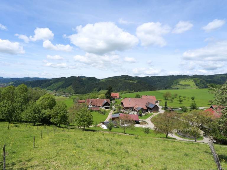 foto13