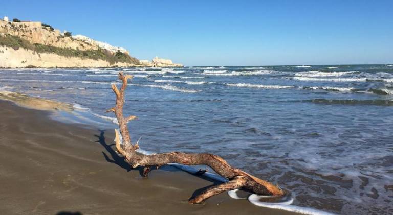 Charming vacation home | Close to the beach | Pets allowed in Vieste