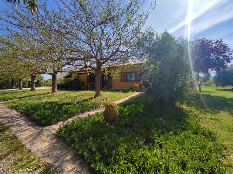 Ferienhaus Roccastrada