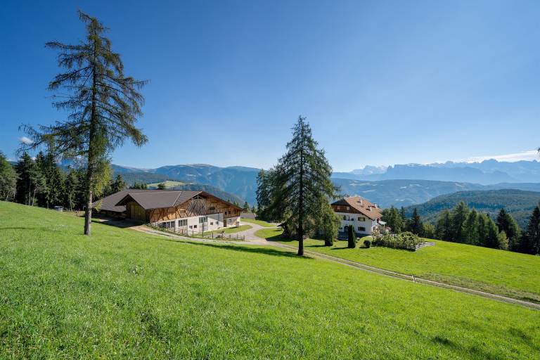 Holiday Apartment 'Stücklhof Wohnung Edelweiss' with Mountain View in Bolzano
