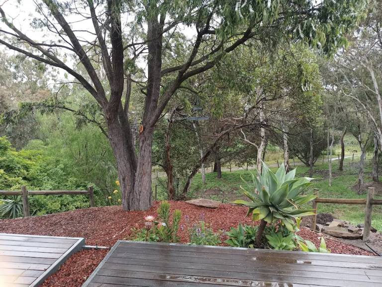 House Strathalbyn