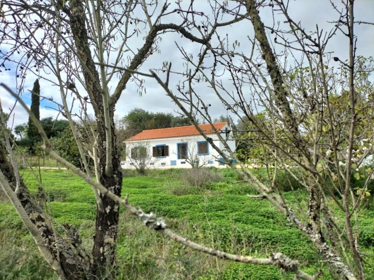 Casa de campo Silves