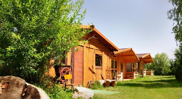 Lodge with terrace & yard — photo 4