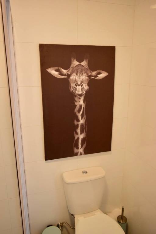 foto3