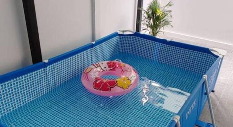 House with pool | Pet-friendly — photo 4