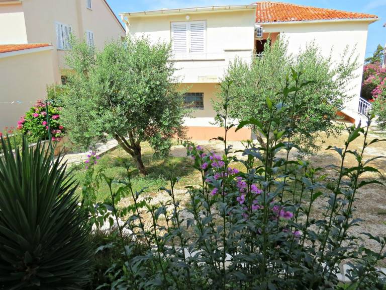 Apartman  Gajac