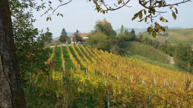 Chambre privée Monforte d'Alba