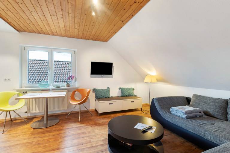 Rental apartment with fast internet in Donaueschingen