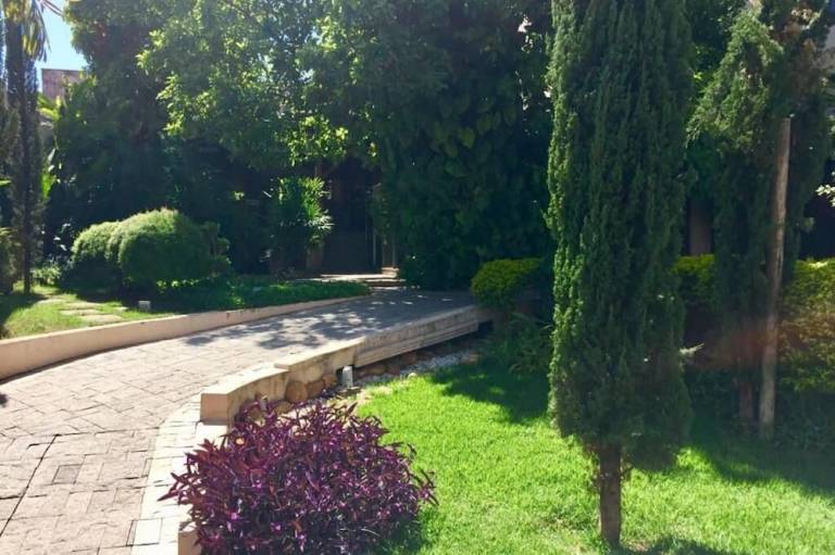 foto8