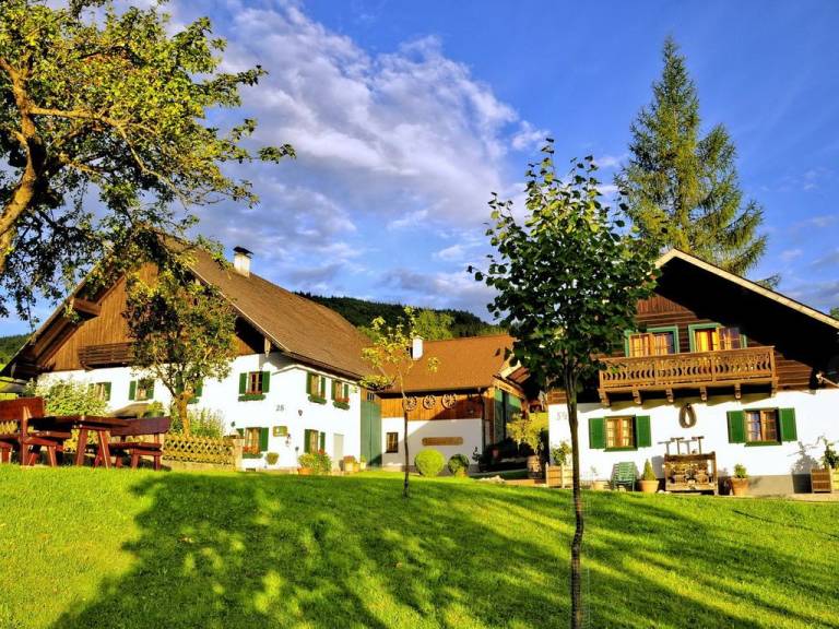 Ferienwohnung Attersee