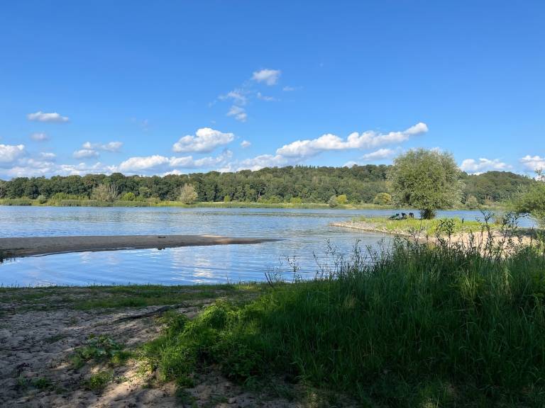 foto17