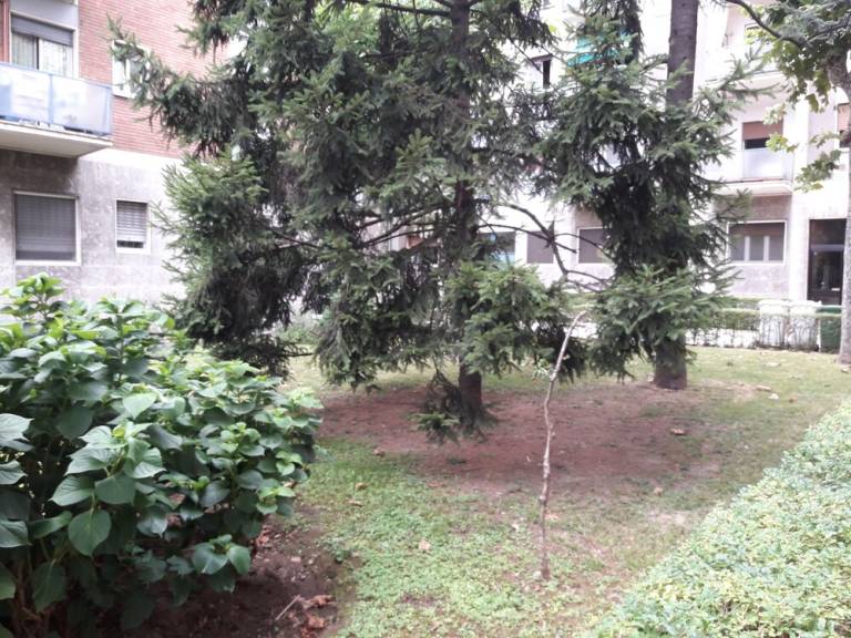 Appartamento  Vimodrone
