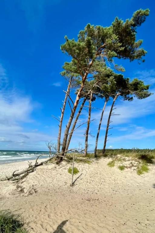 foto20