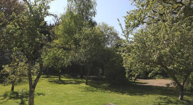 foto20