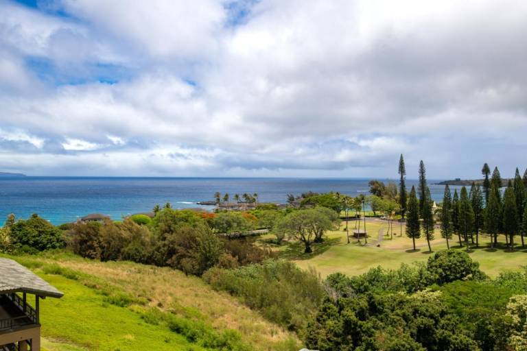Condo Kapalua