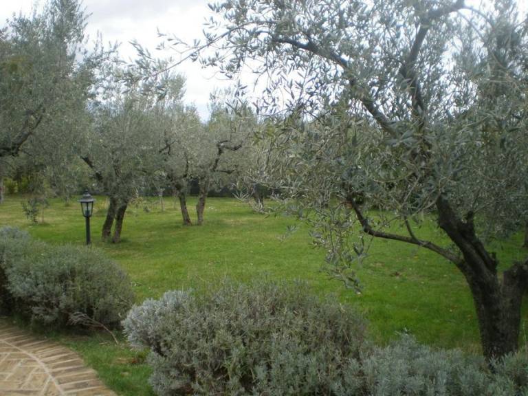 foto20