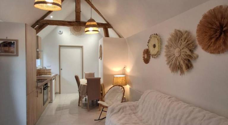 House with BBQ & garden in Loches