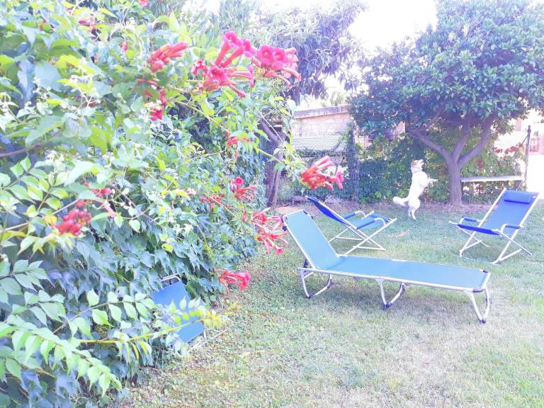 Appartamento Tollo