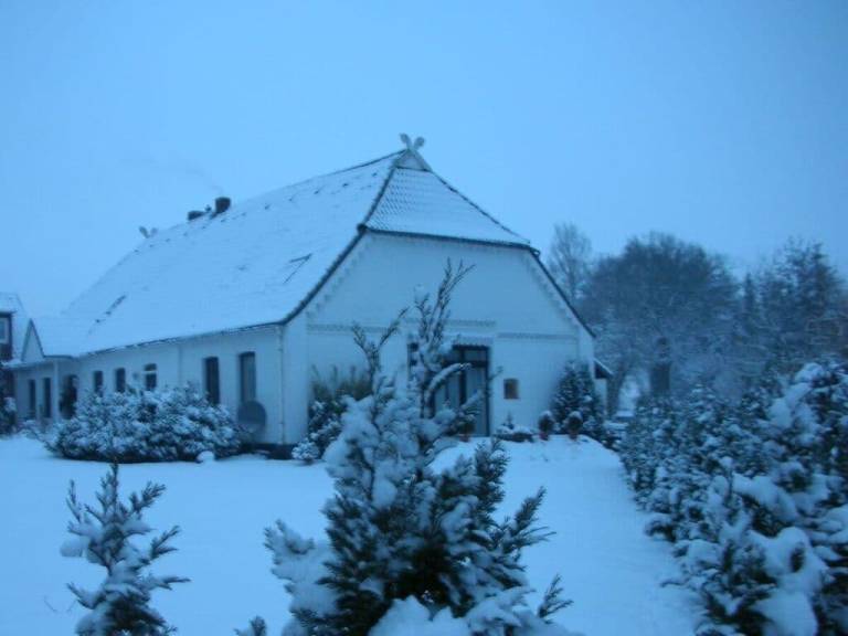 foto18